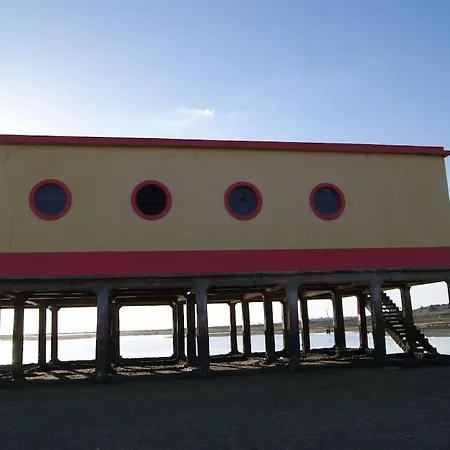 Estrelinha Da Apartment *